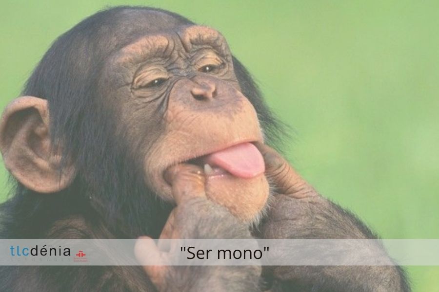 Spanish expression: ser mono
