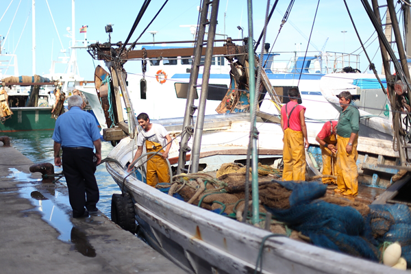 Fishing boat in the fish market of Denia