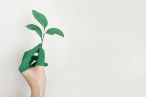 conversation espagnol environnement Vocabulaire sur l'environnement