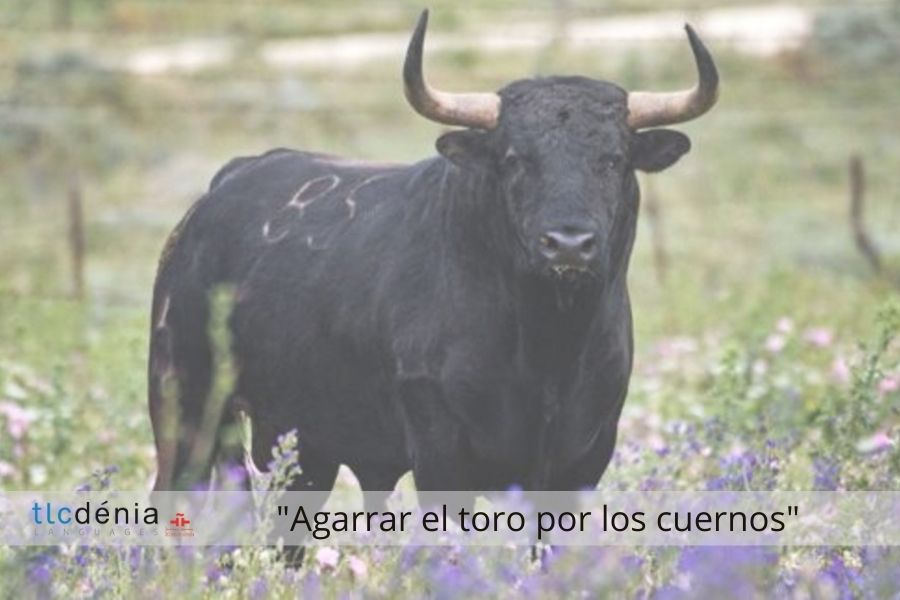 Expression en espagnol agarrar el toro por los cuernos