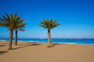 Las mejores playas de Denia