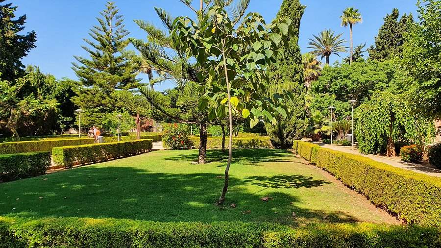 parque en denia ideal para leer o hacer picnics