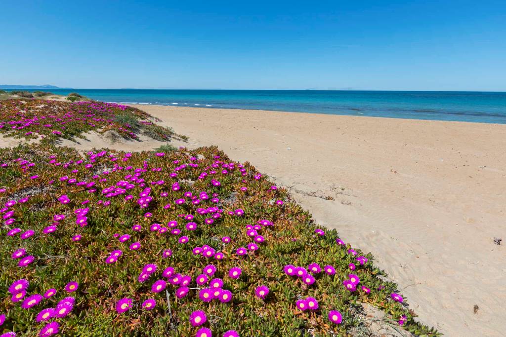 The quietest beach in Denia