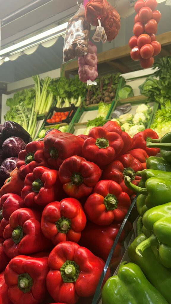 Auslandspraktikum-denia