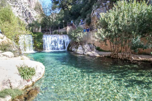 Источники Альгара